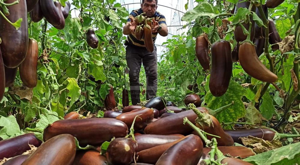 WhatsApp Image 2021-06-17 at 3.48.30 PM (2).jpg