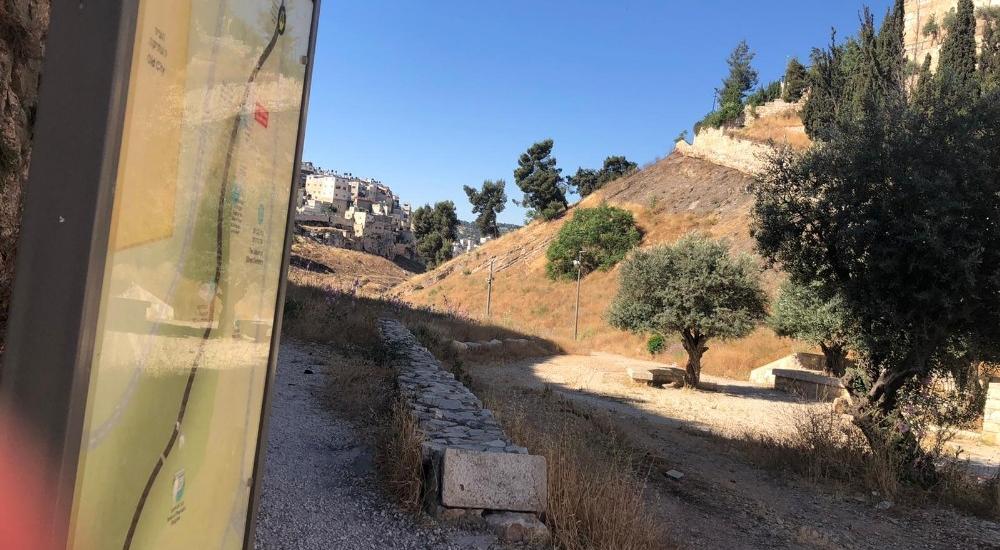 WhatsApp Image 2021-05-31 at 11.17.33 AM (1).jpg