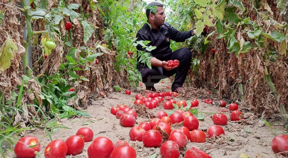 WhatsApp Image 2021-06-17 at 3.48.27 PM.jpg