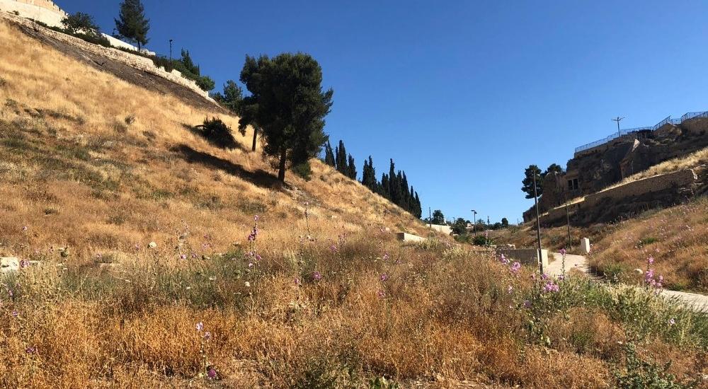 WhatsApp Image 2021-05-31 at 11.17.31 AM (1).jpg