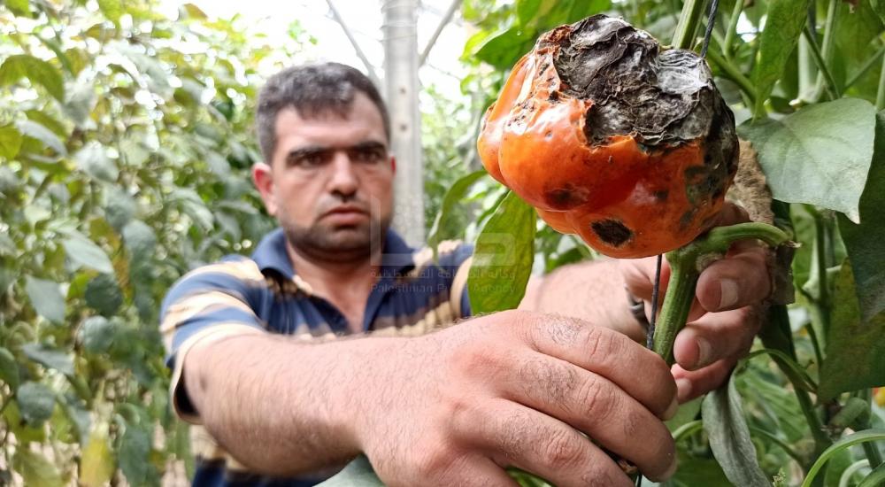 WhatsApp Image 2021-06-17 at 3.48.30 PM.jpg