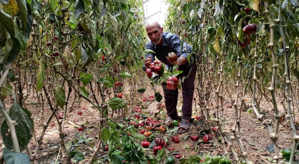 WhatsApp Image 2021-06-17 at 3.48.29 PM (1).jpg