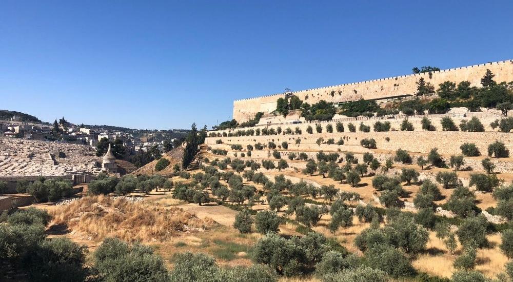 WhatsApp Image 2021-05-31 at 11.17.36 AM (2).jpg