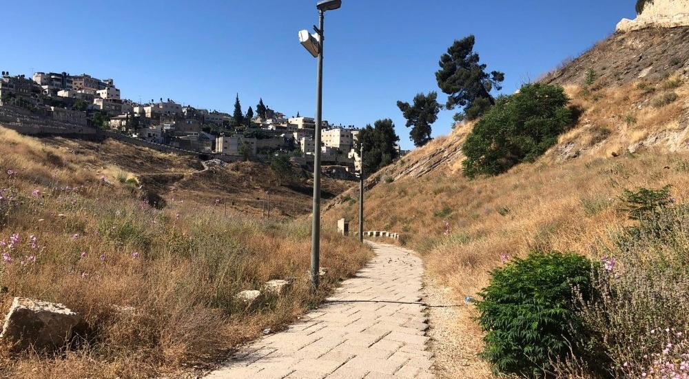 WhatsApp Image 2021-05-31 at 11.17.33 AM.jpg