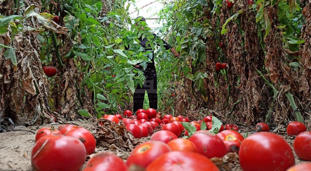 WhatsApp Image 2021-06-17 at 3.48.26 PM.jpg