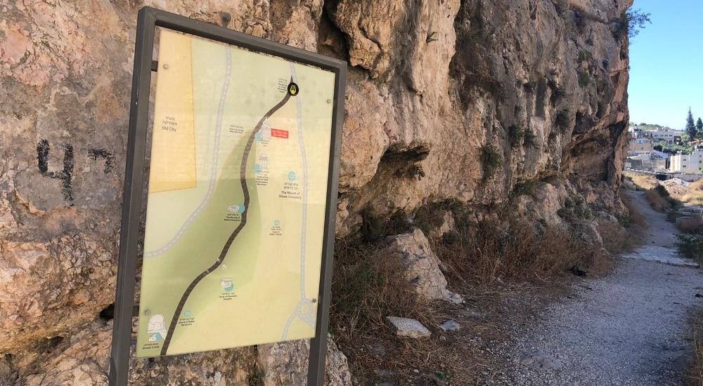 WhatsApp Image 2021-05-31 at 11.17.34 AM.jpg