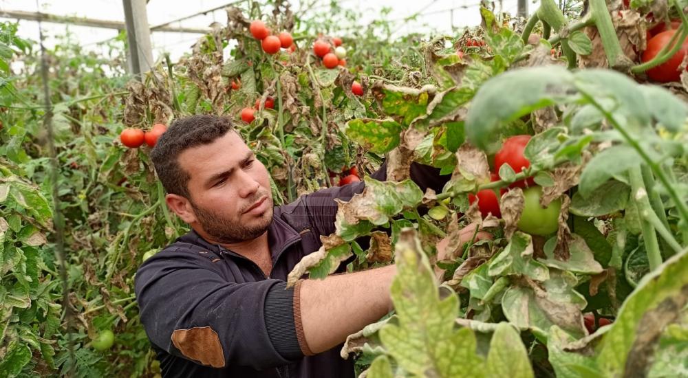 WhatsApp Image 2021-06-17 at 3.48.28 PM (1).jpg