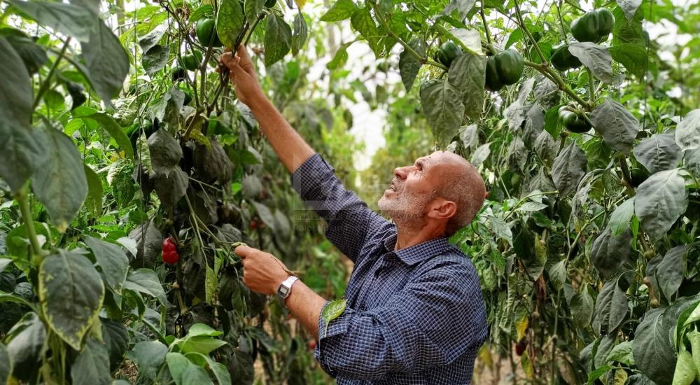 WhatsApp Image 2021-06-17 at 3.48.29 PM.jpg