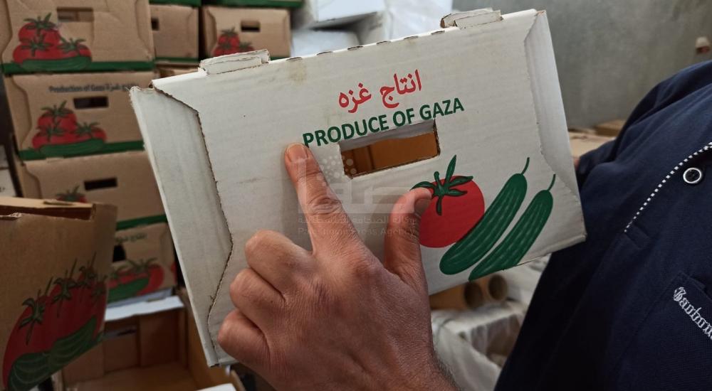 WhatsApp Image 2021-06-17 at 3.48.32 PM.jpg