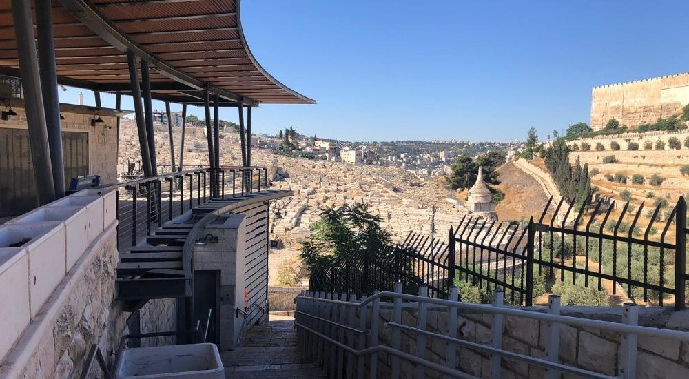 WhatsApp Image 2021-05-31 at 11.17.34 AM (3).jpg