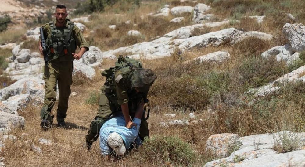 كيف يسعى الاحتلال للسيطرة على جبل العالِم؟6.jpg