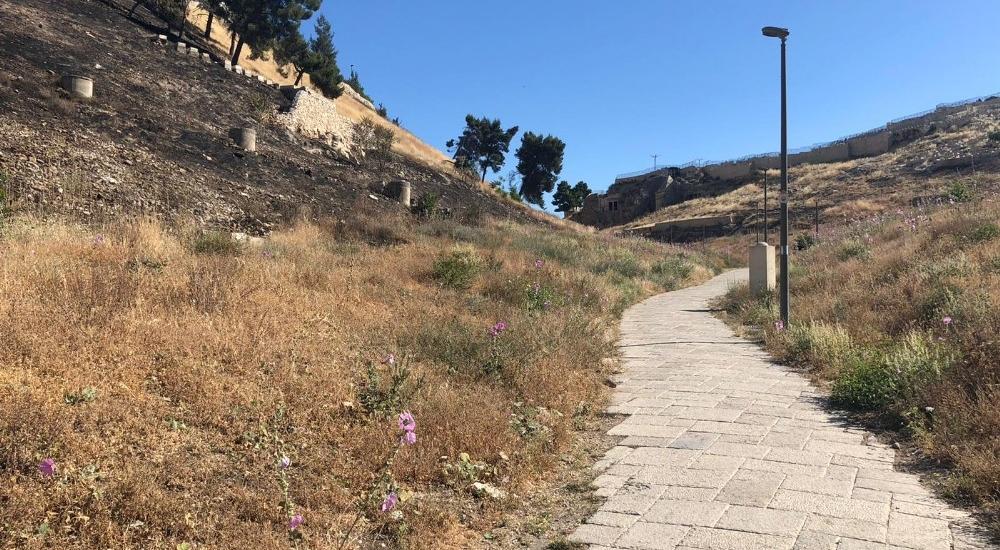 WhatsApp Image 2021-05-31 at 11.17.31 AM.jpg