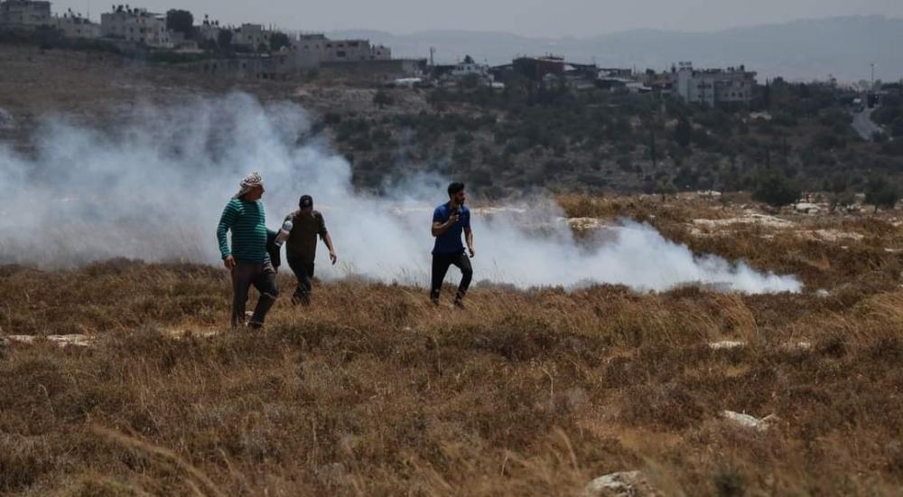 كيف يسعى الاحتلال للسيطرة على جبل العالِم؟4.jpg