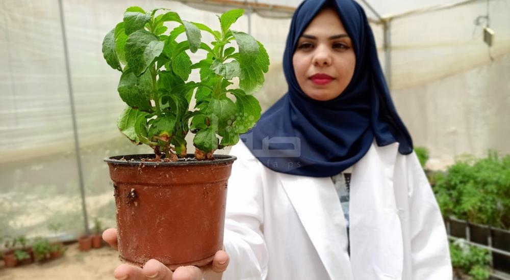 WhatsApp Image 2021-07-17 at 1.15.05 PM (3).jpg