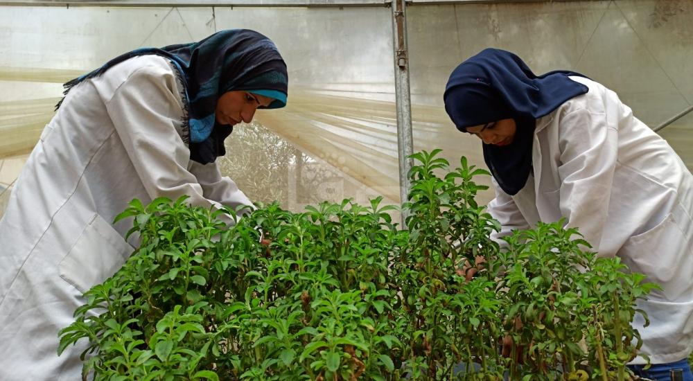 WhatsApp Image 2021-07-17 at 1.15.06 PM (1).jpg