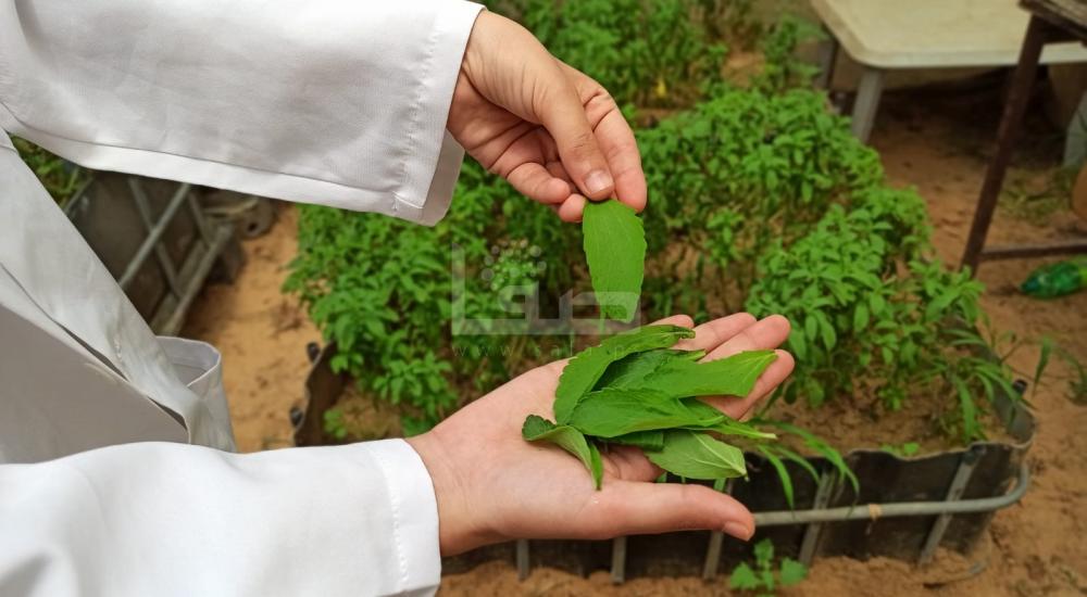 WhatsApp Image 2021-07-17 at 1.15.05 PM (1).jpg