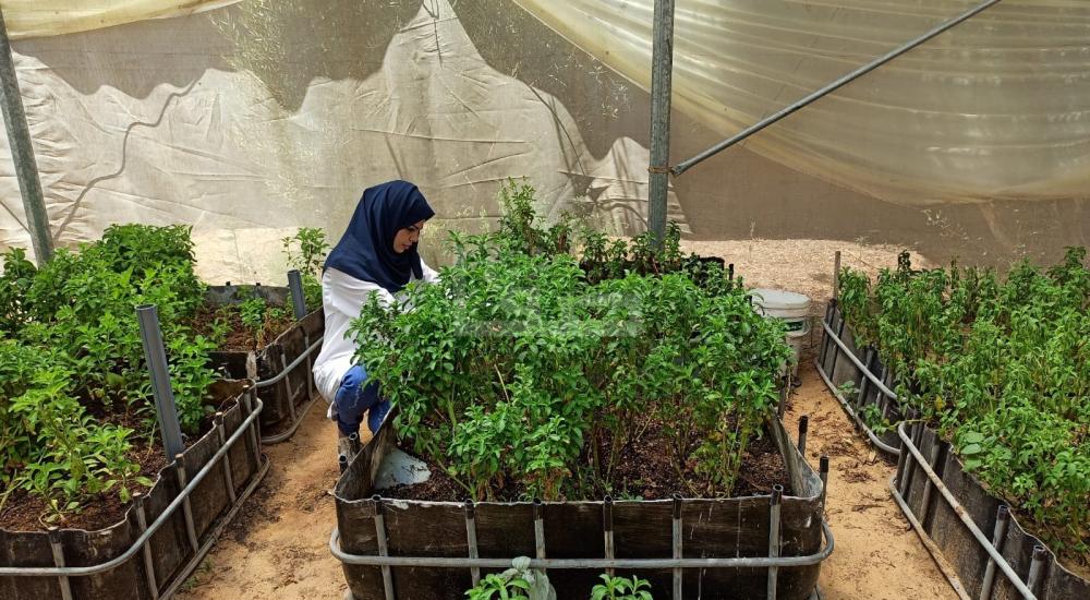 WhatsApp Image 2021-07-17 at 1.15.02 PM (2).jpg