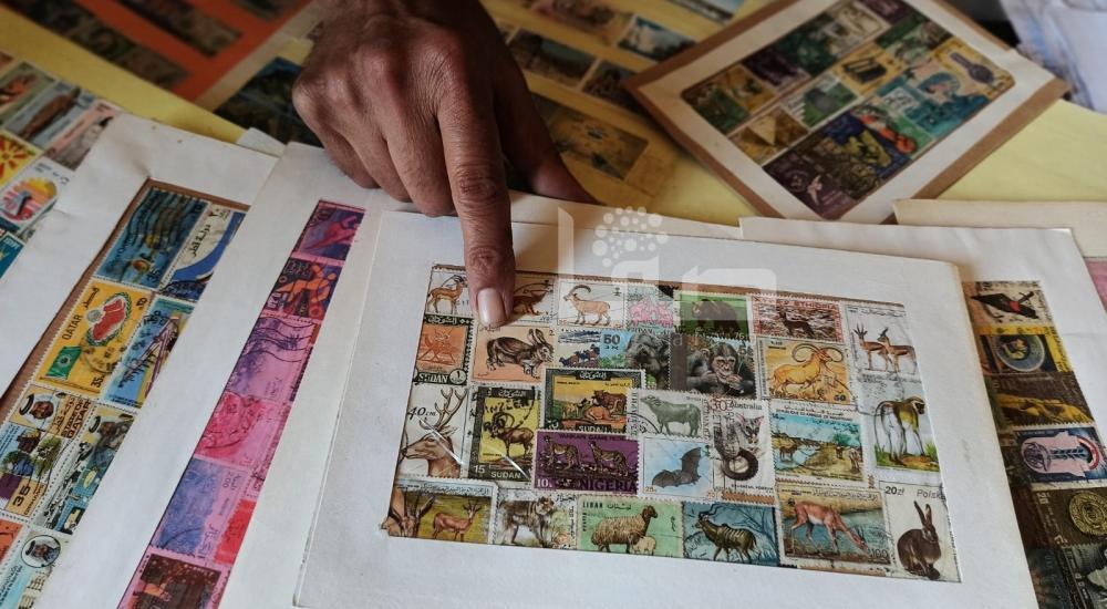 WhatsApp Image 2021-07-08 at 2.59.39 PM.jpg