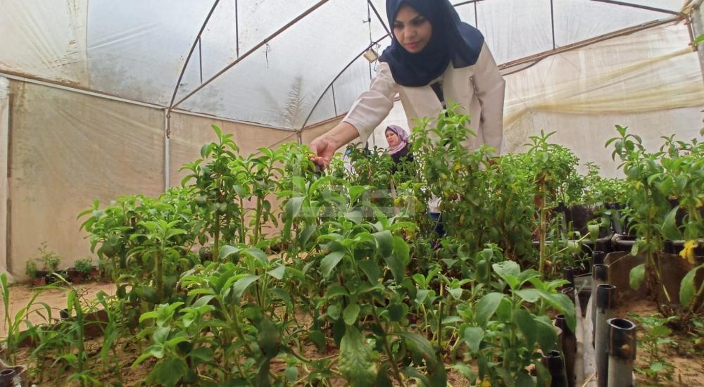 WhatsApp Image 2021-07-17 at 1.15.05 PM (2).jpg