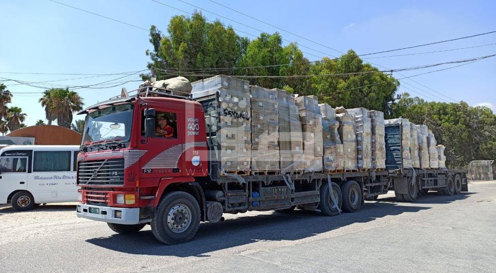 WhatsApp Image 2021-07-14 at 1.10.26 PM.jpg