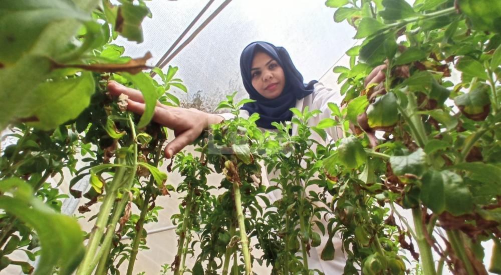 WhatsApp Image 2021-07-17 at 1.15.04 PM (2).jpg