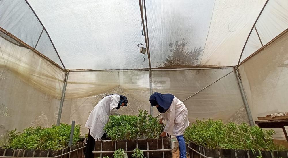 WhatsApp Image 2021-07-17 at 1.15.05 PM.jpg