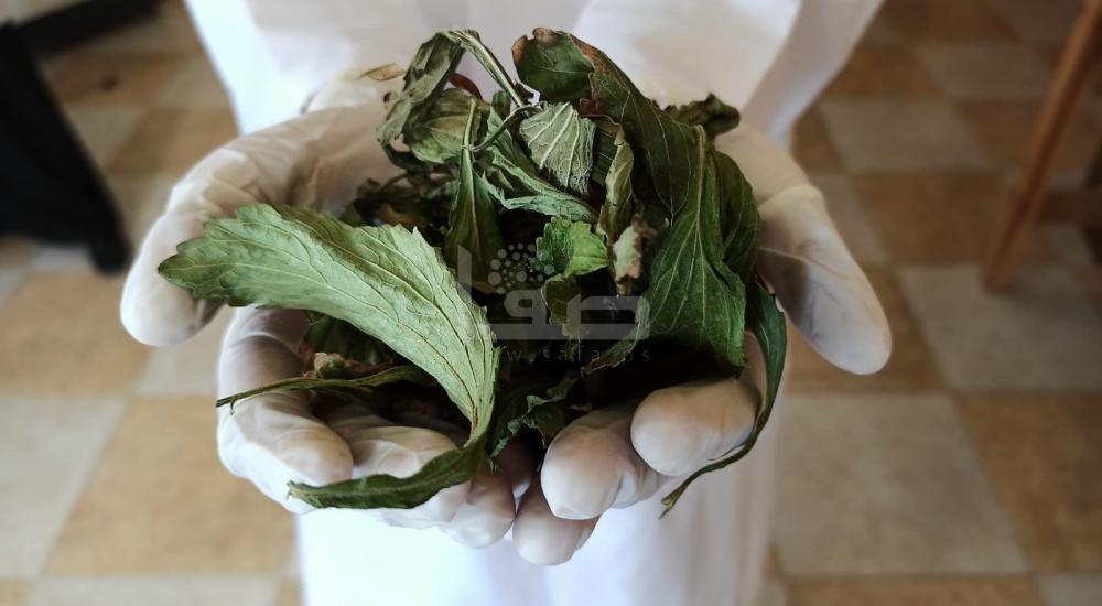 WhatsApp Image 2021-07-17 at 1.15.00 PM (1).jpg