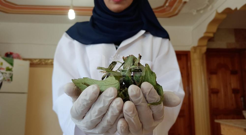 WhatsApp Image 2021-07-17 at 1.15.00 PM.jpg