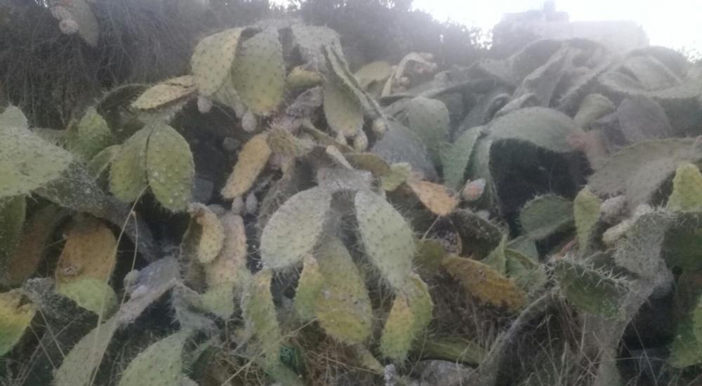 WhatsApp Image 2021-08-15 at 2.58.39 PM.jpeg