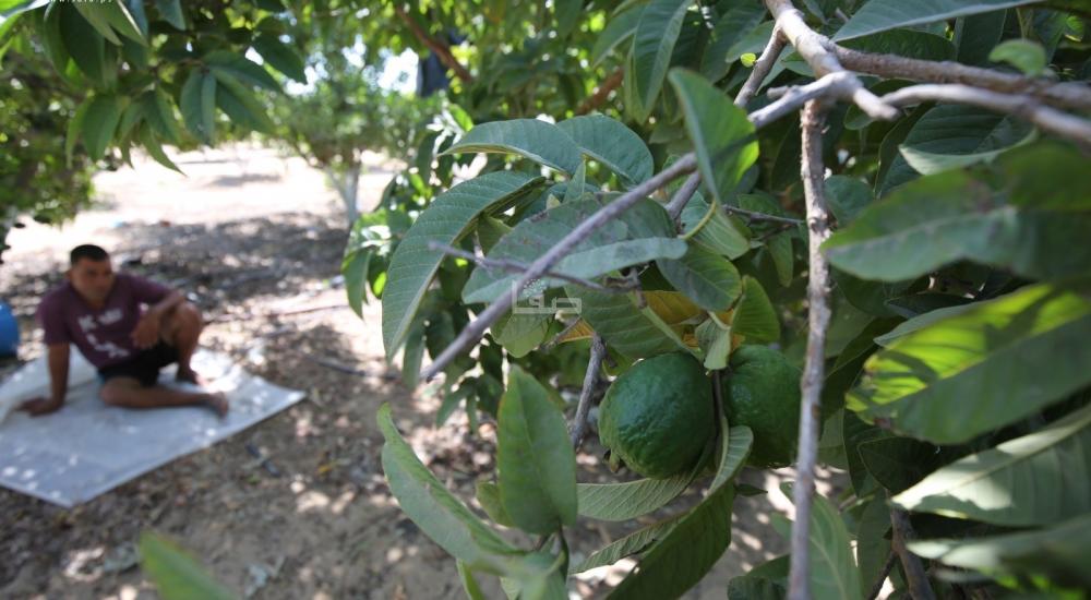 WhatsApp Image 2021-09-08 at 6.49.21 PM (1).jpg