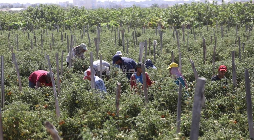 WhatsApp Image 2021-09-08 at 6.49.18 PM (2).jpg