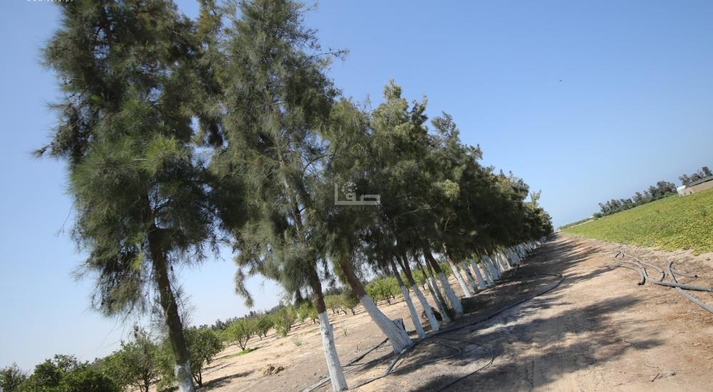 WhatsApp Image 2021-09-08 at 6.49.21 PM (2).jpg