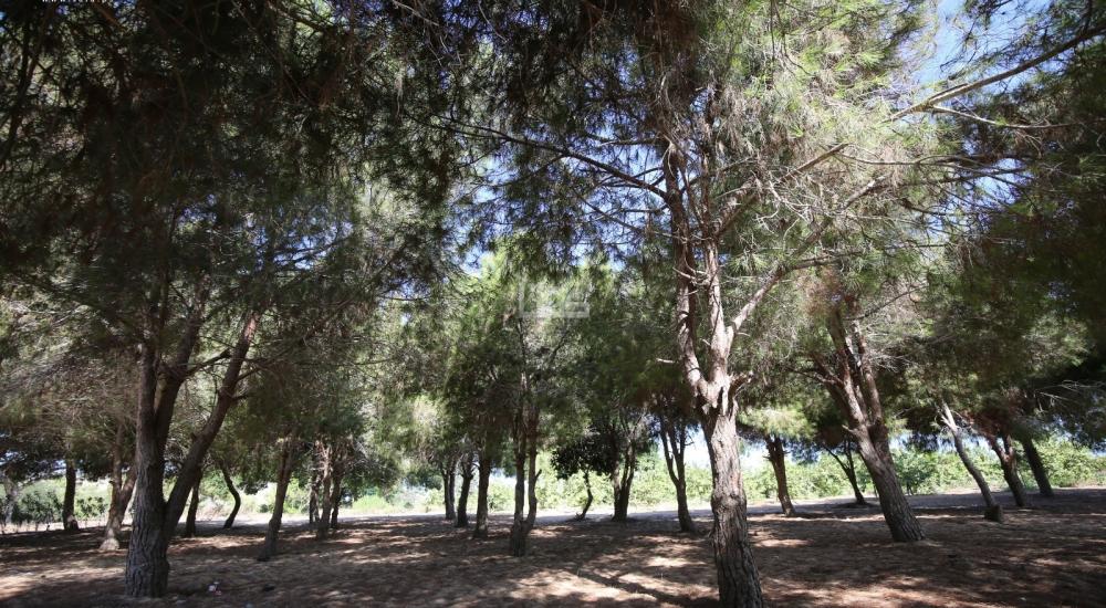 WhatsApp Image 2021-09-08 at 6.49.20 PM (1).jpg