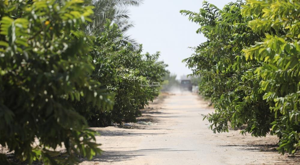 WhatsApp Image 2021-09-08 at 6.49.18 PM (3).jpg