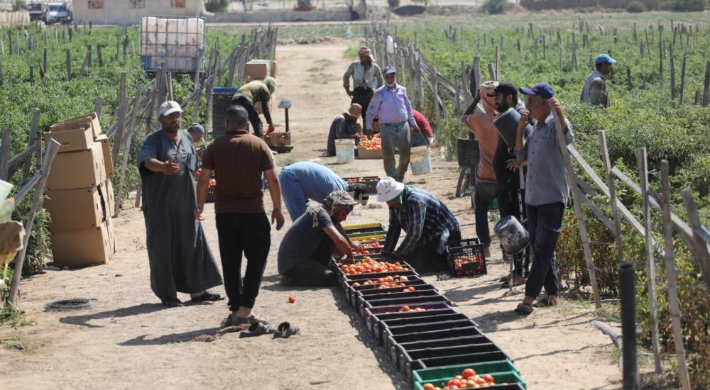 WhatsApp Image 2021-09-08 at 6.49.18 PM (1).jpg