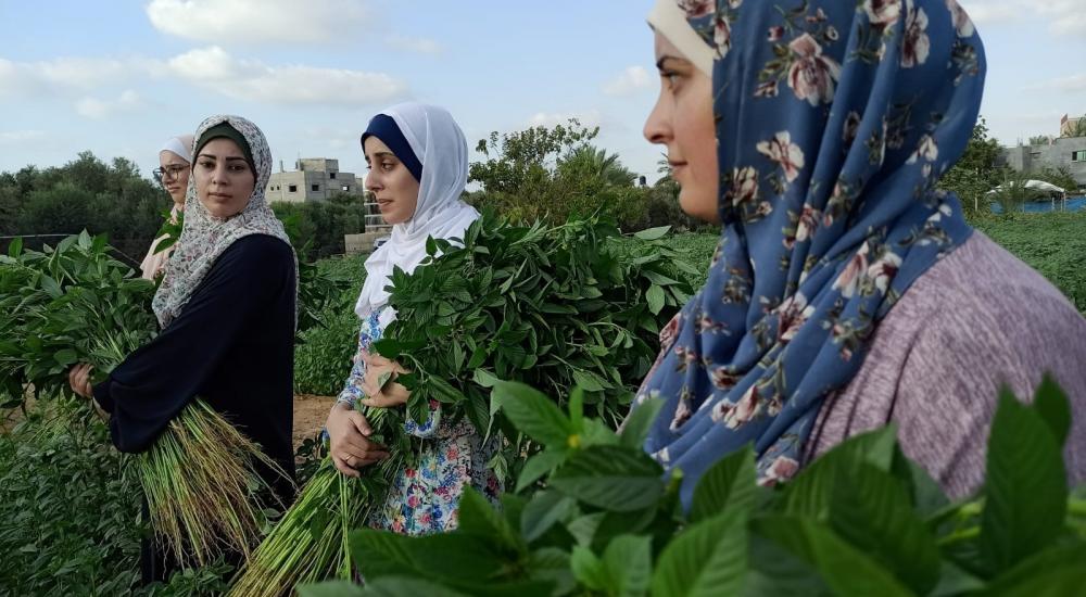 WhatsApp Image 2021-10-24 at 9.47.06 AM.jpg