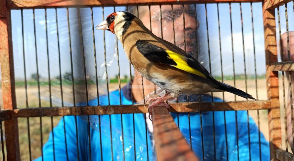 WhatsApp Image 2021-10-02 at 2.57.14 PM.jpeg