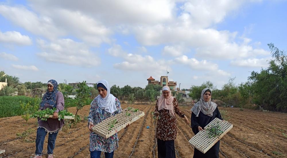 WhatsApp Image 2021-10-24 at 9.48.31 AM.jpg