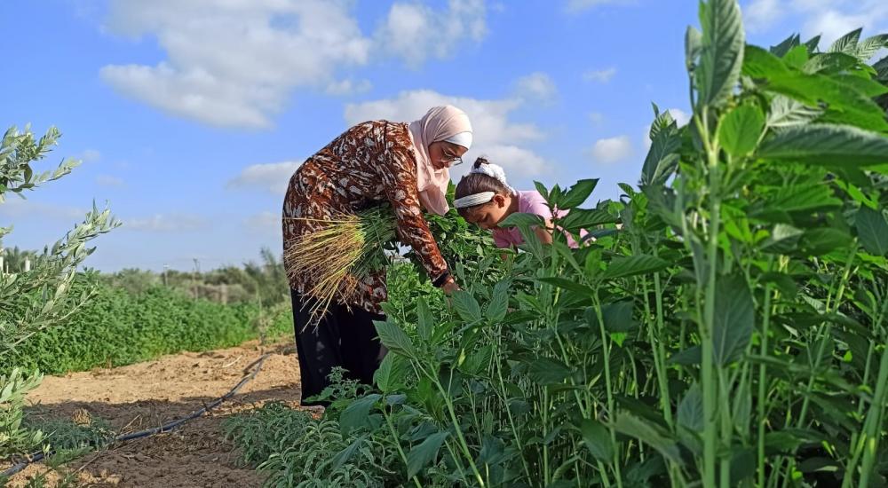 WhatsApp Image 2021-10-24 at 9.48.06 AM.jpg