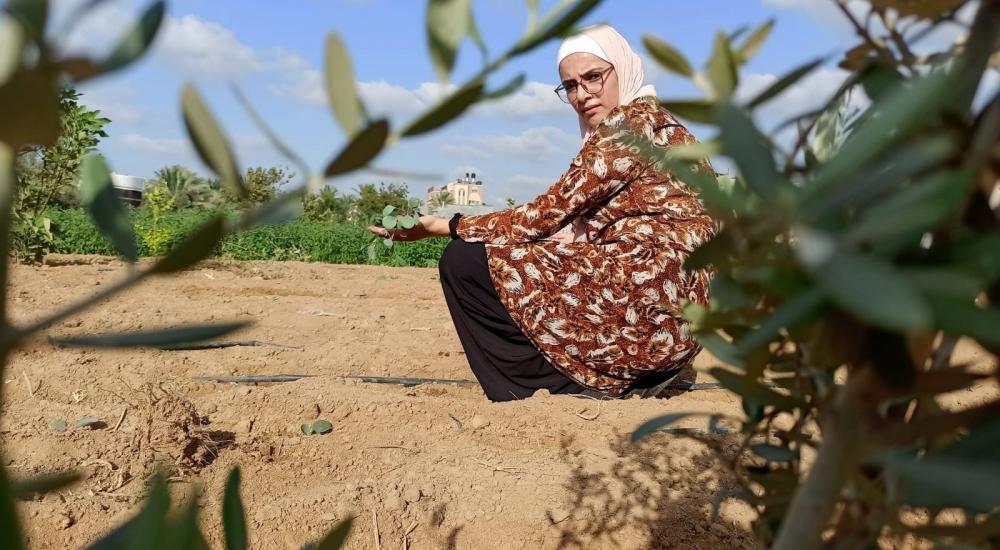 WhatsApp Image 2021-10-24 at 9.48.52 AM.jpg