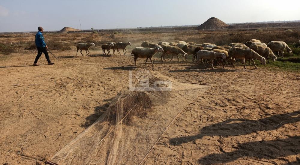 WhatsApp Image 2021-10-02 at 2.57.15 PM.jpeg