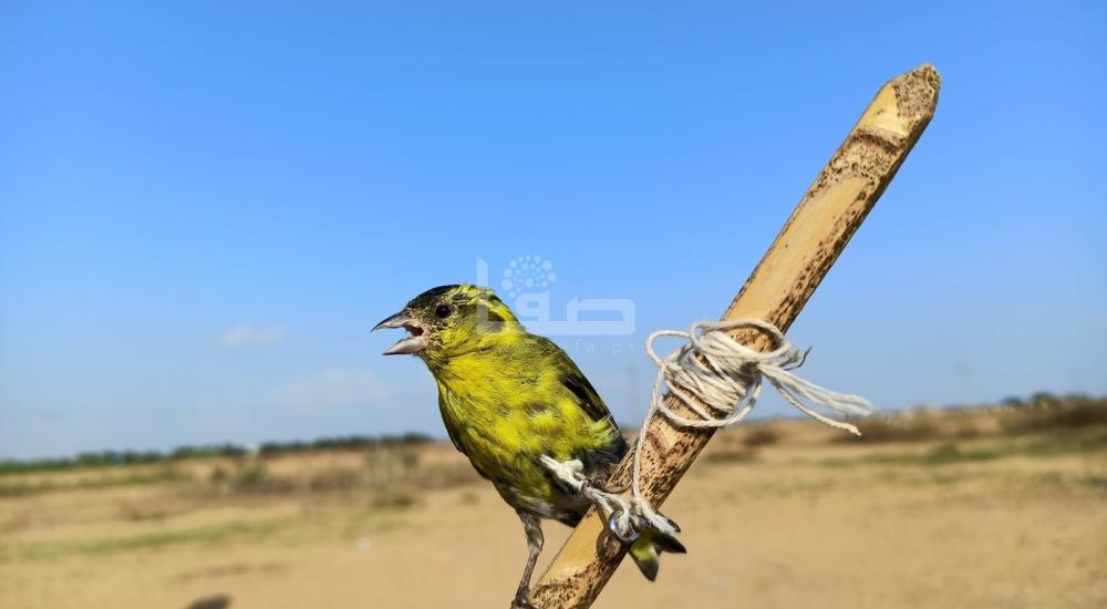 WhatsApp Image 2021-10-02 at 2.57.11 PM.jpeg