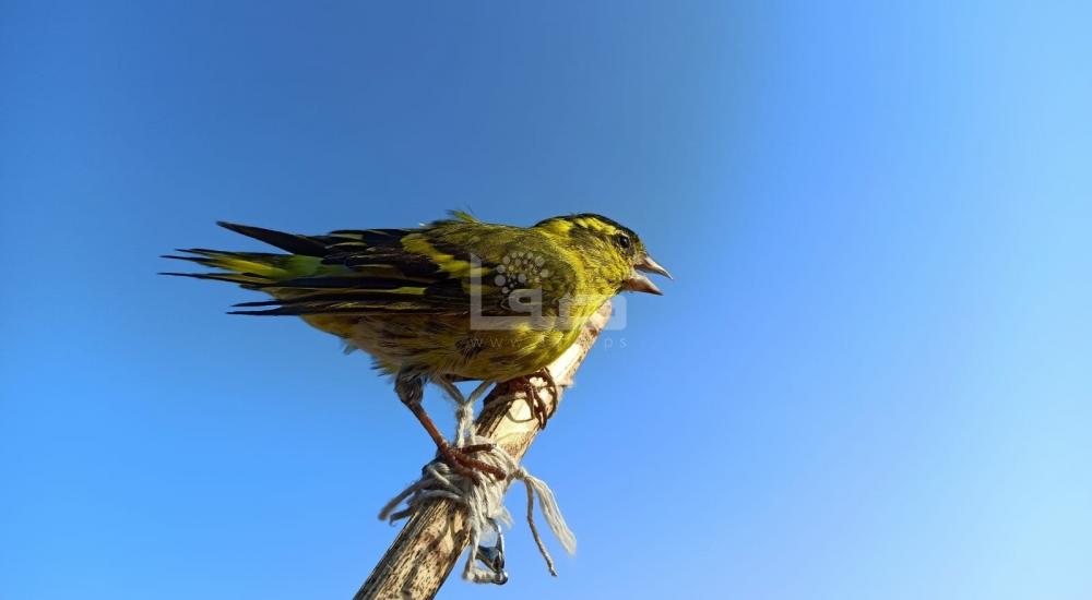 WhatsApp Image 2021-10-02 at 2.57.08 PM.jpeg