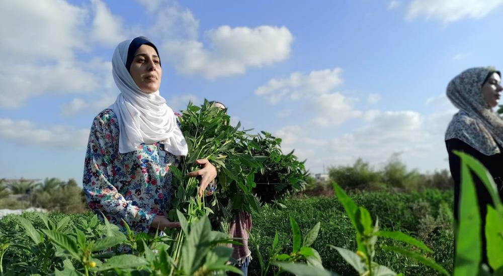 WhatsApp Image 2021-10-24 at 9.47.35 AM.jpg