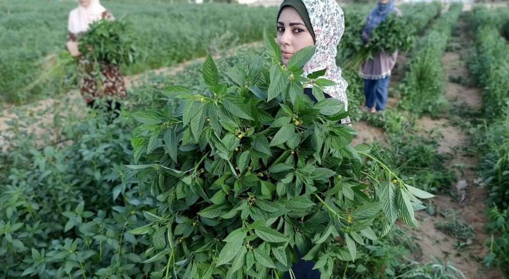 WhatsApp Image 2021-10-24 at 9.47.24 AM.jpg