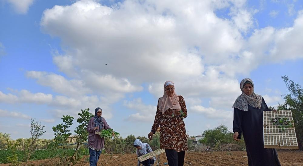 WhatsApp Image 2021-10-24 at 9.48.22 AM.jpg