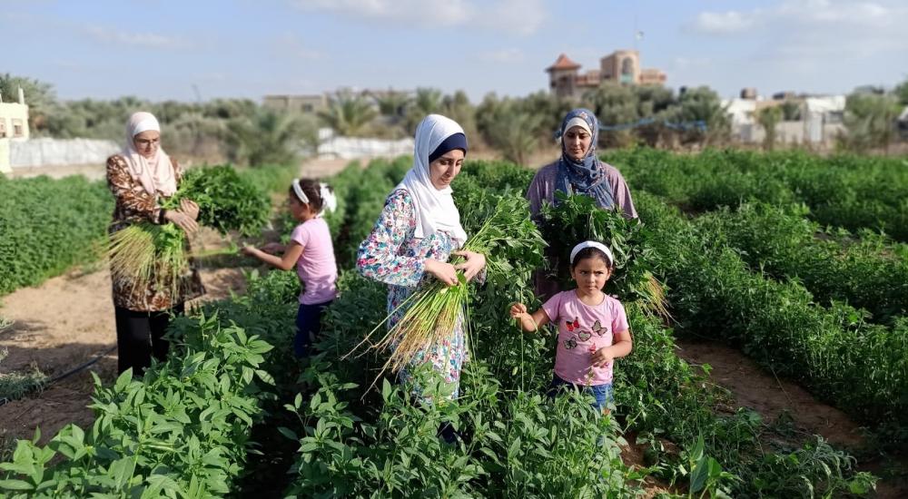 WhatsApp Image 2021-10-24 at 9.47.57 AM.jpg