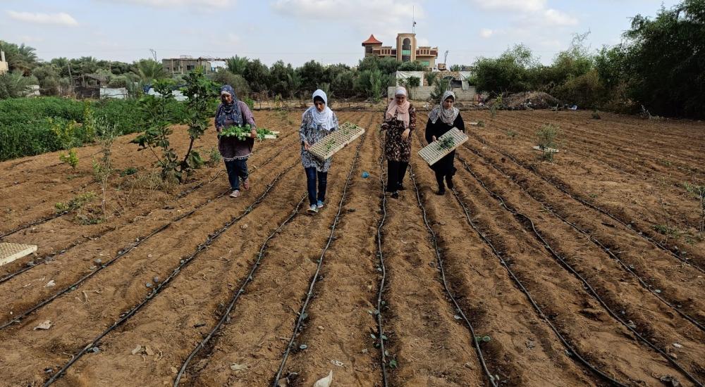 WhatsApp Image 2021-10-24 at 9.48.44 AM.jpg