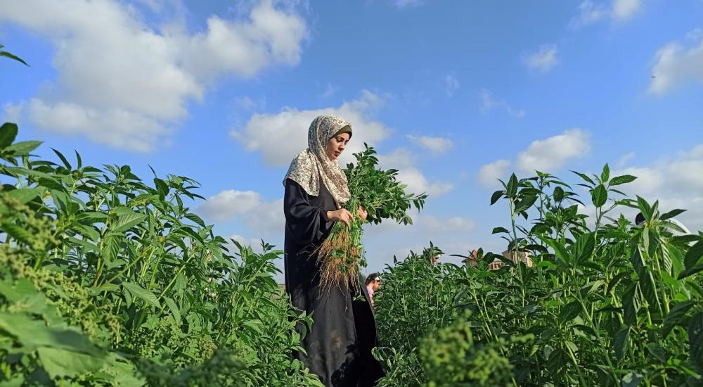 WhatsApp Image 2021-10-24 at 9.48.11 AM.jpg