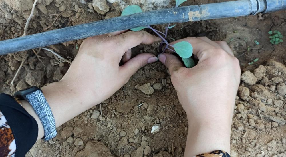 WhatsApp Image 2021-10-24 at 9.49.09 AM.jpg